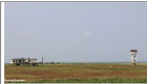 Figure 01: Surrounding of Hakaluki Haor During Summer