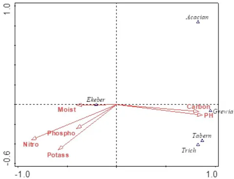 Figure 4: Canonical Correspondence Analysis (CCA) of five key dominant tree species and soil variables along River Lumi riparian ecosystem. Acacian = Vachellia (Acacia) nubica, Ekeber = Ekerbergia capensis, Grewia = Grewia bicolor, Tabern = Tabernaemontana stapfiana, Trich = Trichiliaemetica, Carbon = Organic carbon, Nitro = Nitrogen, Potass = Potassium, Phospho = Phosphorus, Moist = Soil moisture.