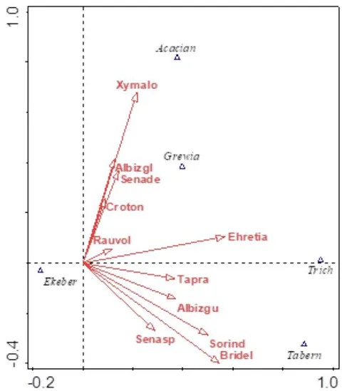 Figure 8: Canonical Correspondence Analysis of dominant and rare tree species along River Lumi riparian ecosystem. Acacian= Vachellia (Acacia) nubica, Ekeber=Ekerbergia capensis, Grewia=Grewia bicolor, Tabern= Tabernaemontana stapfiana, Trich=Trichilia emetica, Albizgl=Albizia glaberrima, Albizgu=Albizia gummifera, Bridel=Bridelia micrantha, Xymalo=Xymalos monospora, Senade=Senna denimetria, Senasp=Senna spectabilis, Croton=Croton macrostachyus, Rauvol=Rauvolfia caffra, Ehretia=Ehretia petiolaries, Tapra=Taprafisc, and Sorind=Sorindeia madagascariensis