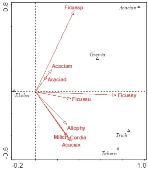 Figure 7: Canonical Correspondence Analysis of dominant and less dominant tree species along River Lumi riparian ecosystem. Acacian = Vachellia (Acacia) nubica, Ekeber = Ekerbergia capensis, Grewia = Grewia bicolor, Tabern = Tabernaemontana stapfiana, Trich = Trichilia emetica, Acaciad = Vachellia (Acacia) drepanolobium, Acaciam = Vachellia (Acacia) melifera, Acaciax = Vachellia (Acacia) xanthophloeia, Allophy = Allophyllus abyssinicus, Cordia = Cordia Africana, Ficussp = Ficus thonningii, Ficussu = Ficus sur, Millici = Milicia excelsa and Ficussy = Ficus syccomorus