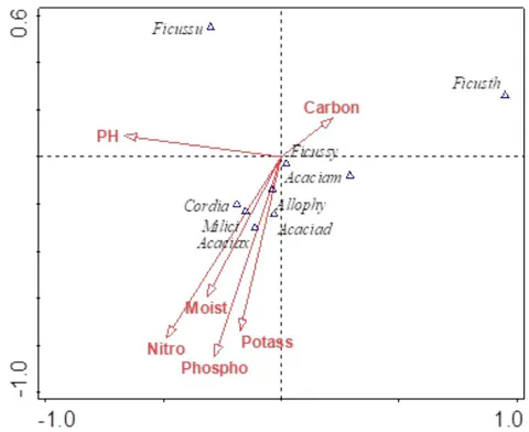 Figure 5: Canonical Correspondence Analysis (CCA) of less dominant tree species and soil variables along River Lumi riparian ecosystem. Acaciad= Vachellia (Acacia) drepanolobium, Acaciam= Vachellia (Acacia) melifera, Acaciax= Vachellia (Acacia) xanthophloeia, Allophy= Allophyllusabyssinicus, Cordia=Cordia Africana, Ficusth=Ficusthonningii, Ficussu= Ficussur andFicussy=Ficus ycomorus, Carbon=Organic carbon, Nitro=Nitrogen, Potass=Potassium, Phospho=Phosphorus, Moist=Soil moisture