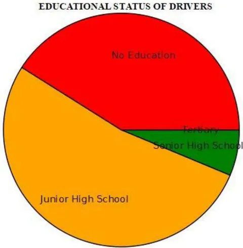 Figure 2: Educational background of commercial drivers.