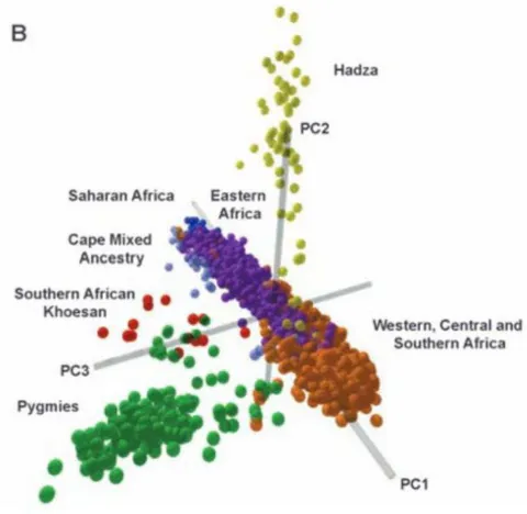 Figure 2: Principal Component Analysis of African Genomes.