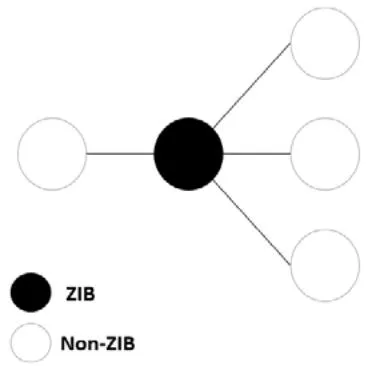 Figure 4: Zero-Injection Bus (ZIB) concept