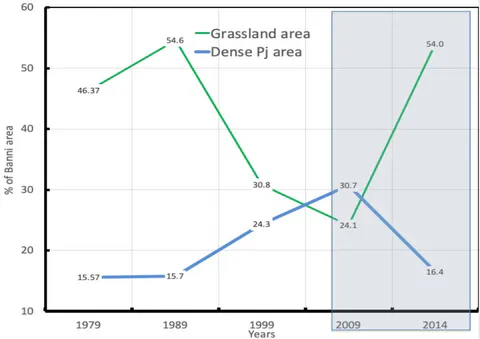 Figure 9: Pj and grass land cover percentages of Banni ares 1979 - 2014, effect of initial Pj harvesting 2009-2014
