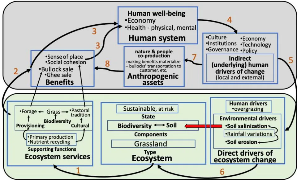 Figure 11a: Conceptual Framework of Banni Grassland Socio-ecosystem – Prior to Pj Introduction*