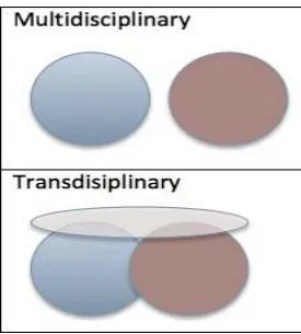 Figure 1: Disciplinary, multidisciplinary, interdisciplinary, and trans-disciplinary models (adapted from Seaton, 2002)