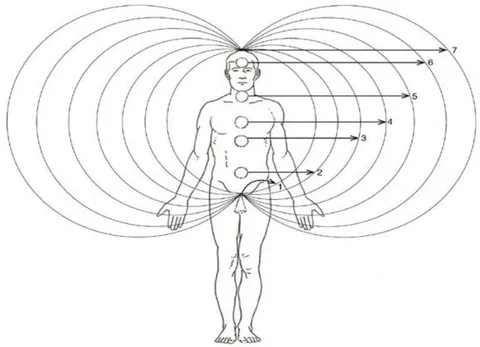 Fig. 1: The 7 Alternating Chakras Along the Backbone and Their Corresponding Energy Levels