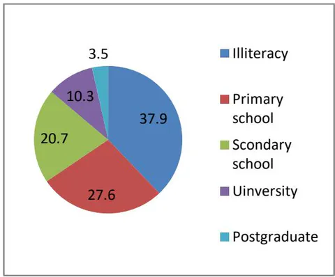Figure 1: Education level