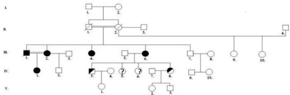 Figure 1A. Genealogical Tree