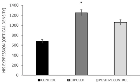 Figure 7: NIS protein expression at stage 58NF was higher in groups Exposed (E 1, 2) and Positive Control (PC 1, 2) vs Control group (C 1, 2) *p<0.05.