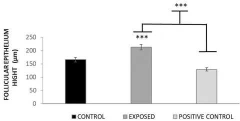 Figure 6: Follicular epithelium height at stage 58NF. ***p<0.0001 vs Control and vs Positive Control.