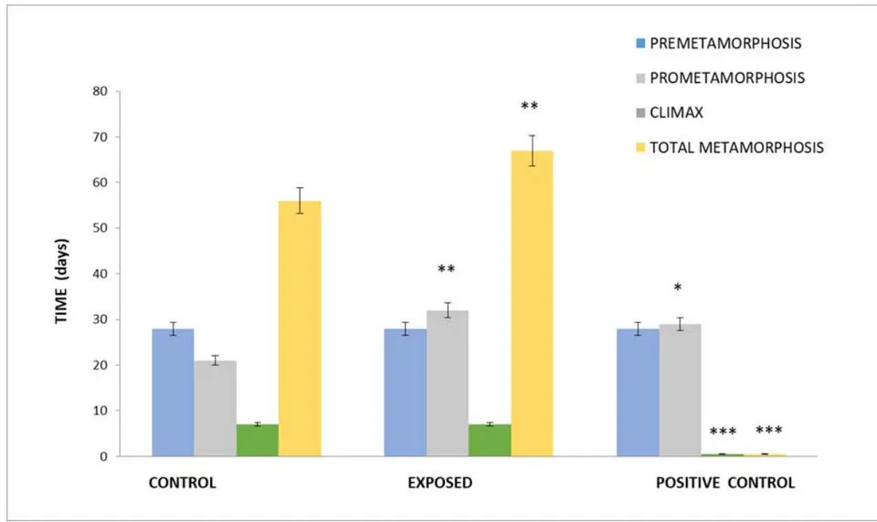 Figure 1: Metamorphosis periods (premetamorphosis, prometamorphosis and climax) per group and water type of X. laevis larvae under Control treatment: C, Exposed: E, and Positive Control: PC. *p<0.05, **p<0.001, ***p<0.0001 vs. Control