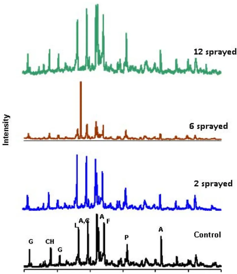 Fig. 4: PXRD of cement samples