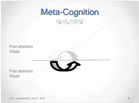 Fig. 2: Meta - cognition