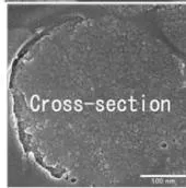 Fig. 4: Surface and cross-sectional morphology of agglomerated TWC-particles