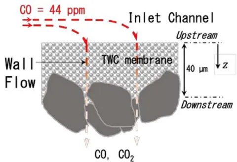 Fig. 8: Schematic of the CO concentration distribution in a three-way catalyst membrane