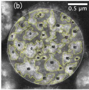 Fig. 5: Elemental analysis of the cross-section of an agglomerated TWC-particle using a back-scattered electron mode