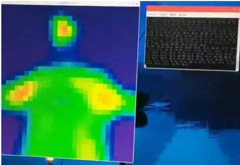 Figure 7: Thermographic image acquired in tests