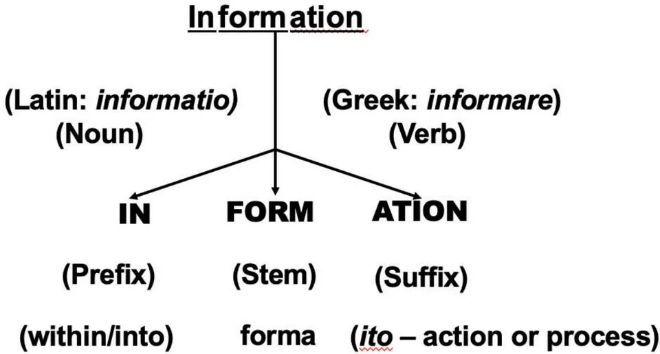 Fig. 1: The self-explanatory figure does linguistic analysis of the word "information". Information is simultaneously a noun and a verb. There is a fusion of ontology and epistemology in its nature