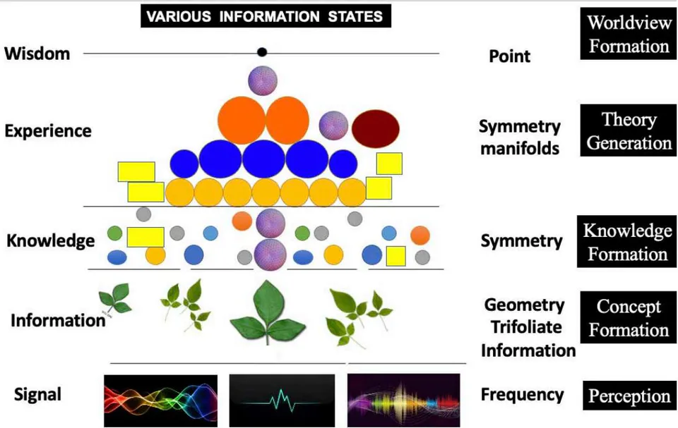Fig. 5: Shows the structural geometry of information at the level of signal, "information", knowledge, experience, and wisdom. On the right side, shown is the hierarchy of perception, concept formation, knowledge development, theory generation, and wisdom formation