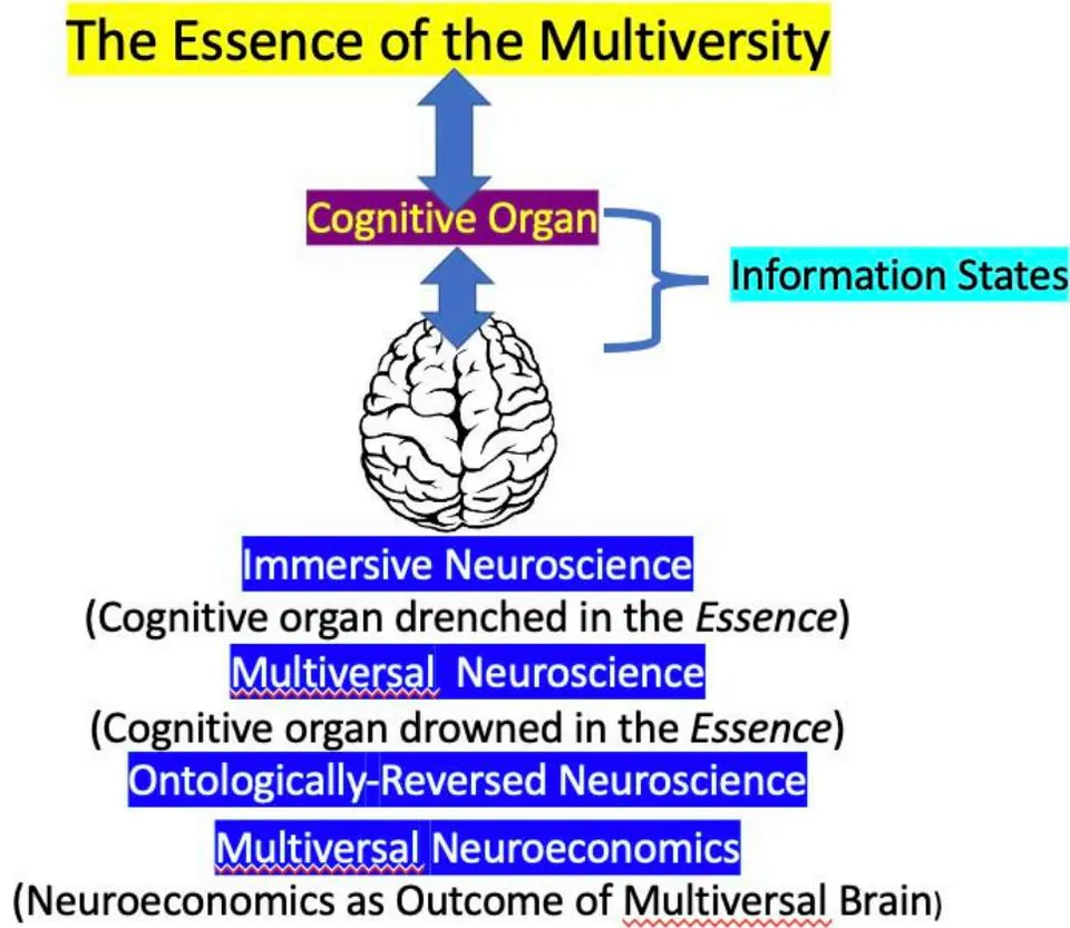 Fig. 9: Shows the hierarchy of consciousness cognition and the brain as a behavioral organ. When the brain becomes aware of its access to the Essence of the Multiversity, immersive neuroscience, multiversal neuroscience, and multiversal neuroeconomics begin