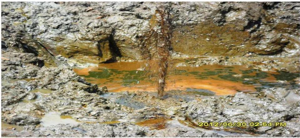 Figure 1: Leaking Pipeline