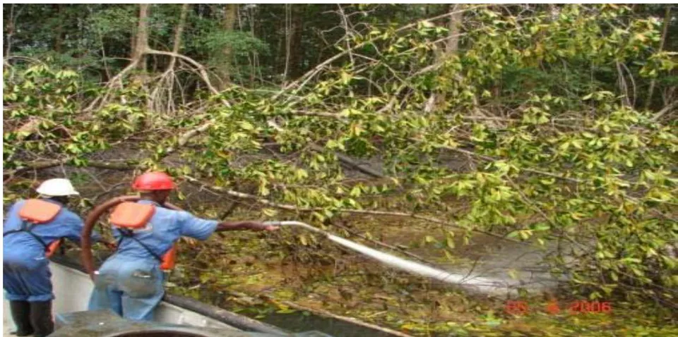 Figure 12: Low Pressure – High Volume Flushing of the Mangrove Ecosystem