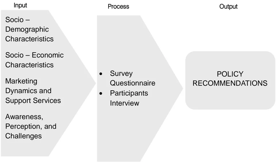 Figure 1: Conceptual Framework of the Study