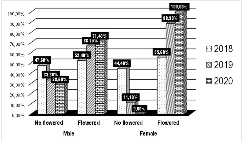 Figure 5: Number of newly opened flowers of female cultivars per week in one month.