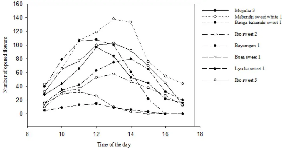 Figure 6: Number of newly opened flowers of male cultivars per hour in one day