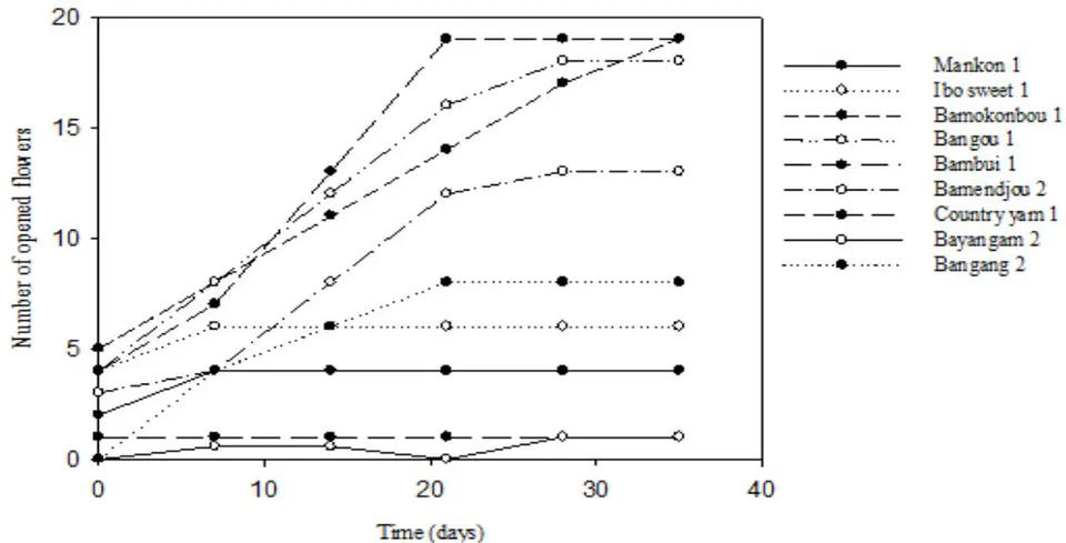 Figure 4: Flowering pattern of female and male flowers: Days to Emergence (DE), Days to first Bud Emergence (DBE), Days to First Flower Opening (DFFO), Days to emergence - First Bud emergence to First Flower Opening (DFB-DFFO) and Number of Flowering Plants (NFP). Bars indicate standard deviations.