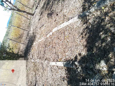 Low concrete bed borders laid out on dry ground to demarcate nursery planting sections.