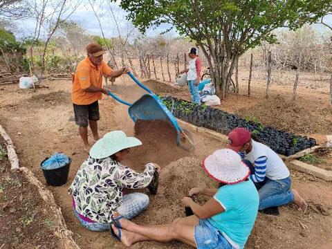 Community members working together to fill seedling bags and unload soil substrate from a wheelbarrow.