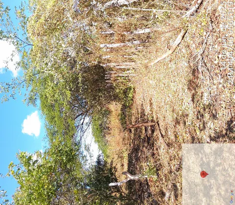Perimeter wooden post fence bordering the designated nursery area and native vegetation.