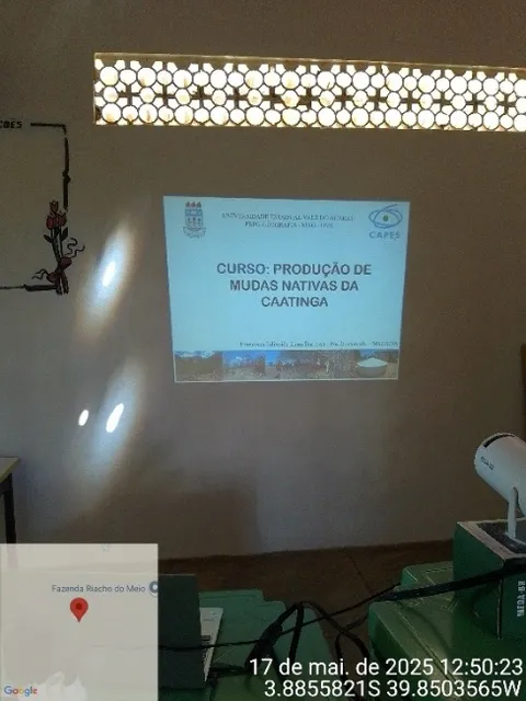 Slide presentation titled Curso Producao de Mudas Nativas da Caatinga projected onto a classroom wall.