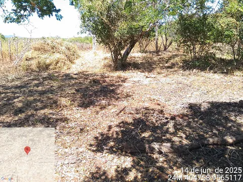 Cleared ground under partial tree shade designated for establishing the community nursery.