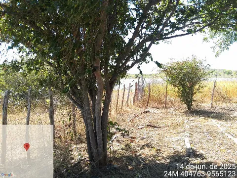 Native shade tree standing in a fenced clearing with a water reservoir in the distance.