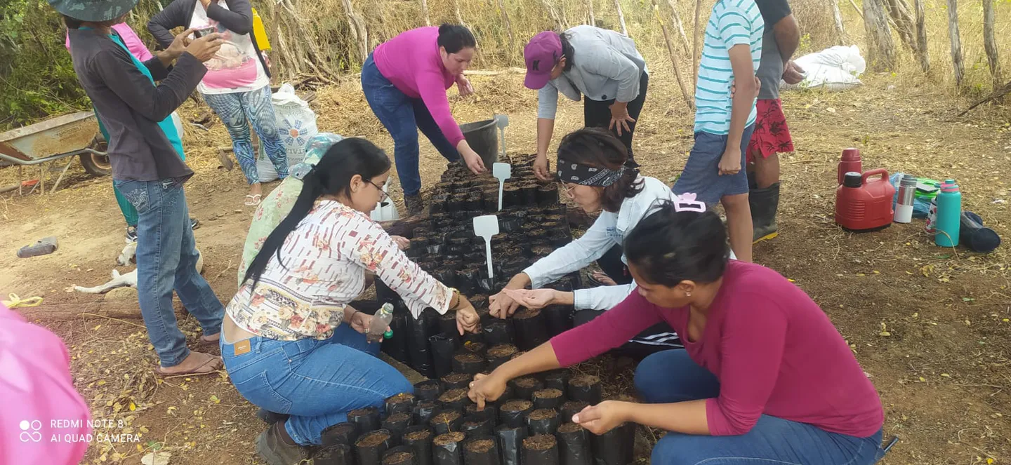 Participants kneeling on the ground planting native seeds into black plastic nursery bags.