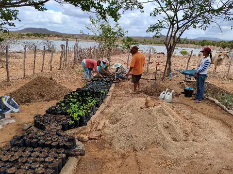 Wide view of participants tending rows of seedling bags at the nursery site near the reservoir.