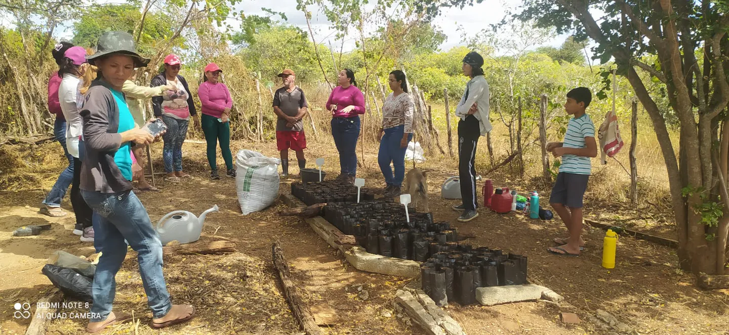 Course attendees and coordinators standing around filled seedling bags arranged in the nursery bed.