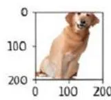 Fig. 2: Actual Image Along with a Variety of Augmented Images