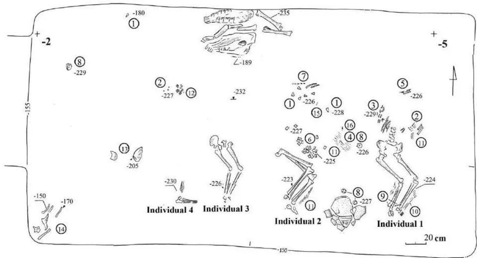 Fig. 2: Robbed burial of Sintashta culture (Stepnoye 1 cemetery, kurgan 1, pit 1): 1 – photo; 2 – plan of burial (1 – stone arrowhead; 2 – beads; 3 – women ornament; 4 – awl; 5 – piece of wood; 6 – astragals; 7 – tail vertebrae of the animal; 8 – cheek-pieces; 9 – bronze beads; 10 – fragment of felt; 11 – organic remains; 12 – hand bones of individual 4; 13 – human scull; 14 – human bones; 15 – needle; 16 – awl with wooden handle)