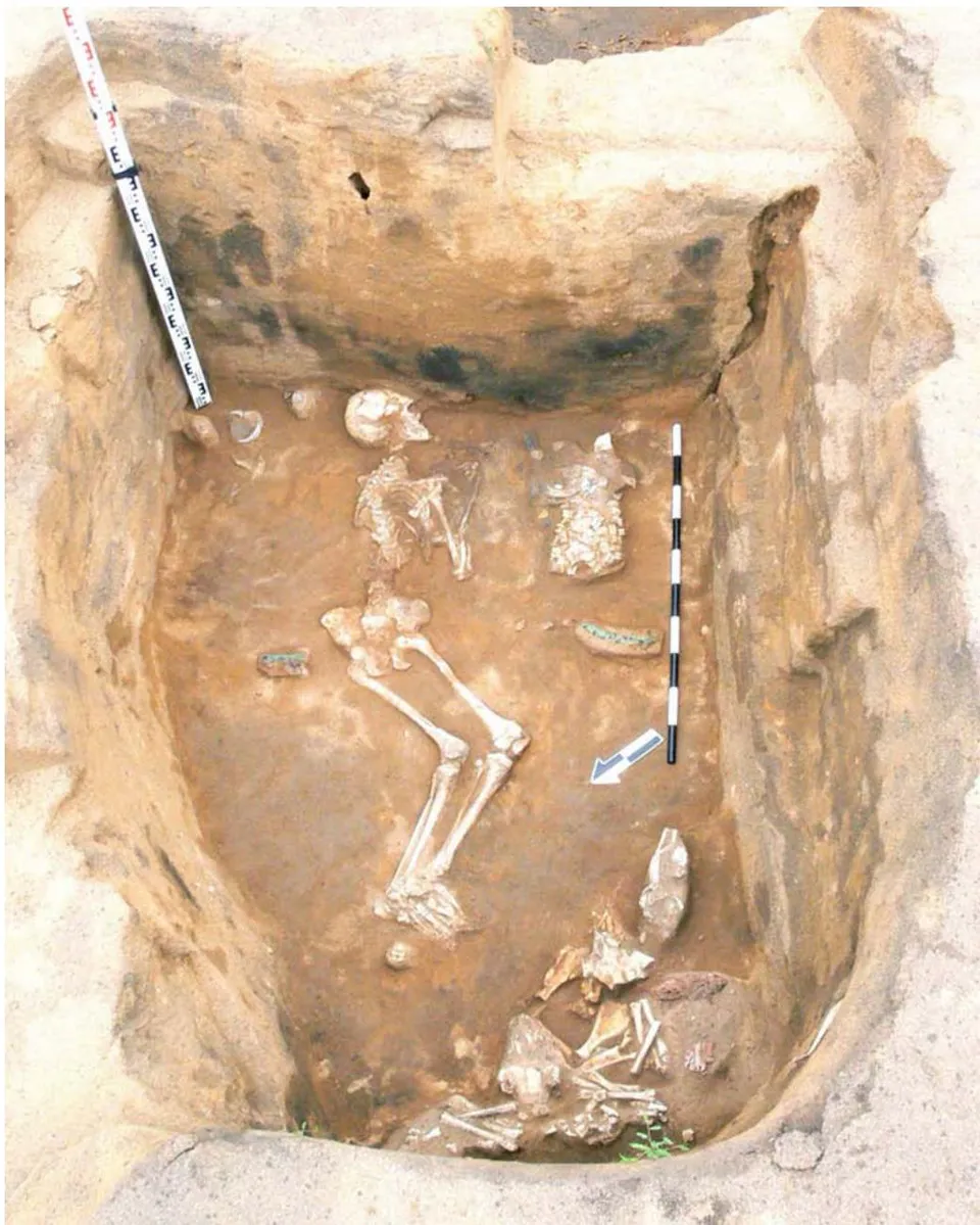 Fig. 1: Burial of Sintashta Culture (Stepnoye 1 Cemetery, Kurgan 7, Pit 2)