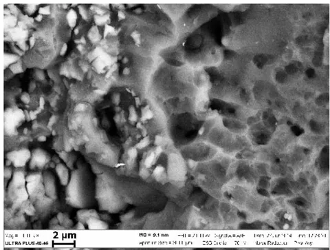 Fig. 9: Initial microstructure of alloying phase particles in the aluminum alloy.