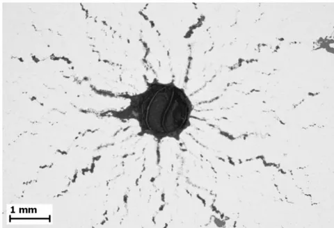 Fig. 5: Microstructure of the central part of a steel cylindrical sample