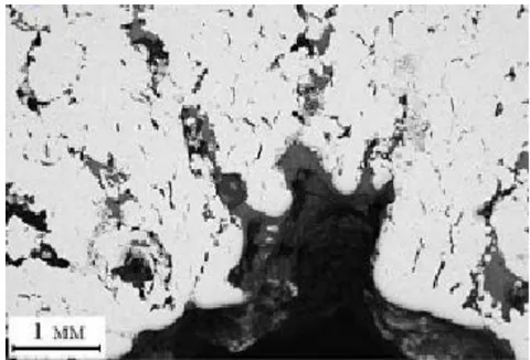 Fig. 4: Macrostructure of the cross section of the hollow copper cylinder after compression with the detonation wave