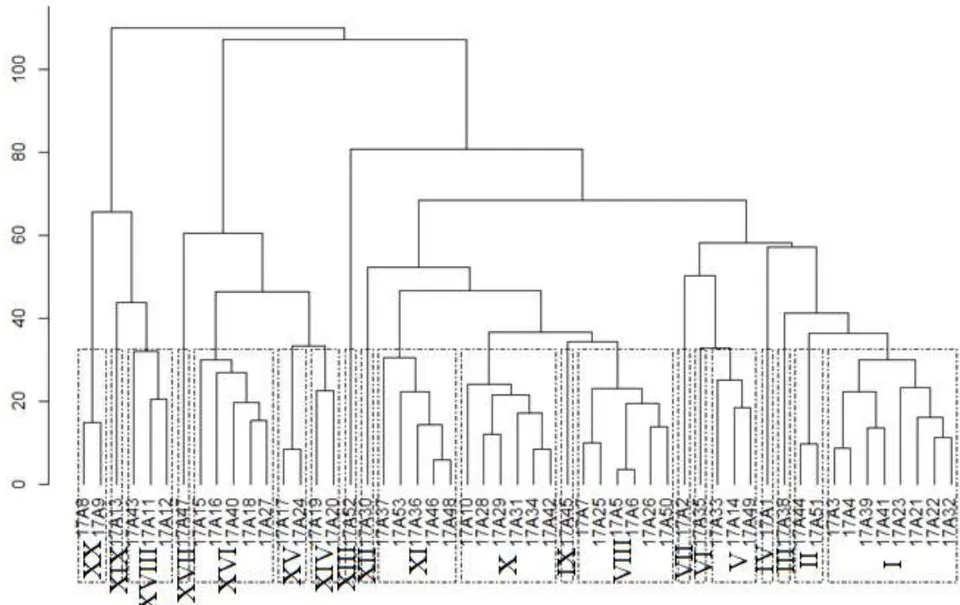Figure 1: Representative Dendrogram of Genetic Dissimilarity Among 53 Advanced Onion Strains Obtained by the UPGMA Method using the Generalized Mahalanobis Matrix. Uberlândia, MG, Brazil.