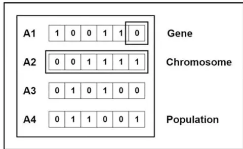 Fig. 2: Population built with Chromosomes A1, A2, A3 and A4