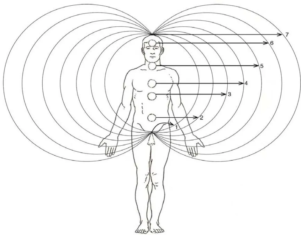 Fig. 2: The NEMF of the aura (Spirit) of male body with a chain of alternating vortices and antivortices along the backbone